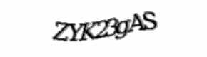 Security check image, please type the characters shown